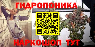 стафф Заводоуковск
