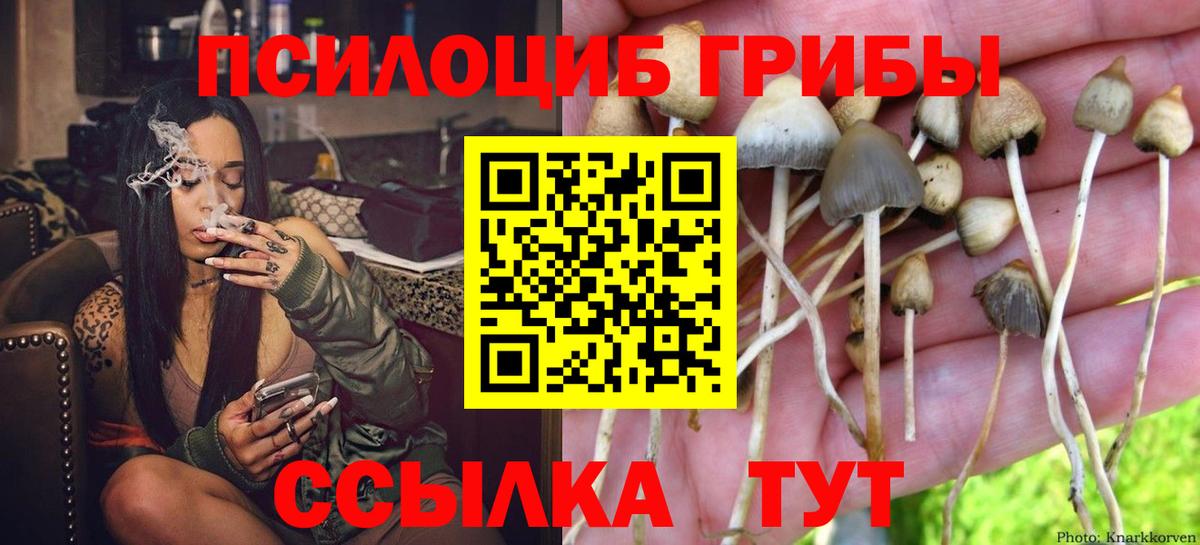 Галлюциногенные грибы MAGIC MUSHROOMS Ливны